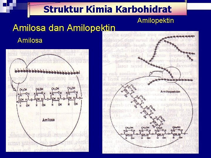 Struktur Kimia Karbohidrat Amilosa dan Amilopektin Amilosa 19 Struktur Kimia Karbohidrat Amilosa dan Amilopektin Amilosa 19