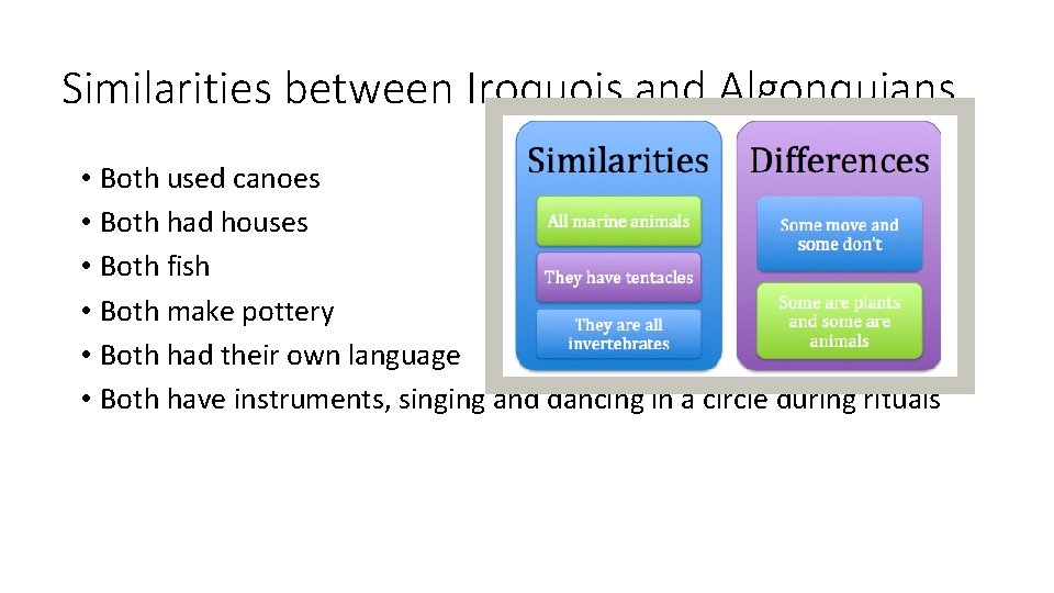 Similarities between Iroquois and Algonquians • Both used canoes • Both had houses •