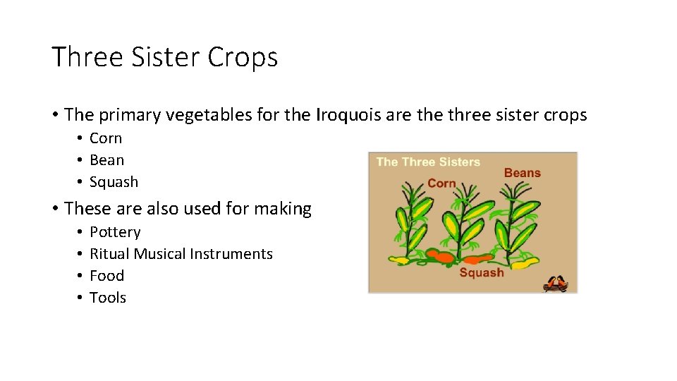 Three Sister Crops • The primary vegetables for the Iroquois are three sister crops