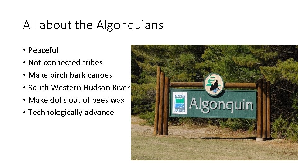 All about the Algonquians • Peaceful • Not connected tribes • Make birch bark