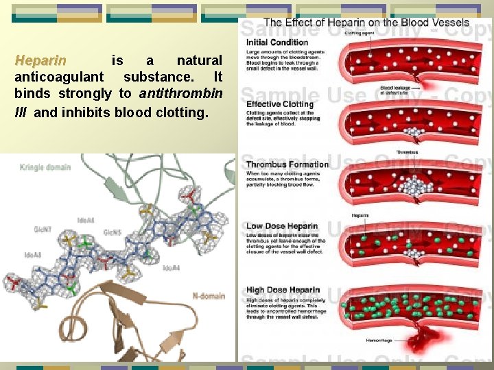 Heparin is a natural anticoagulant substance. It binds strongly to antithrombin III and inhibits