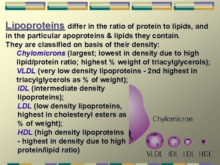 Lipoproteins differ in the ratio of protein to lipids, and in the particular apoproteins