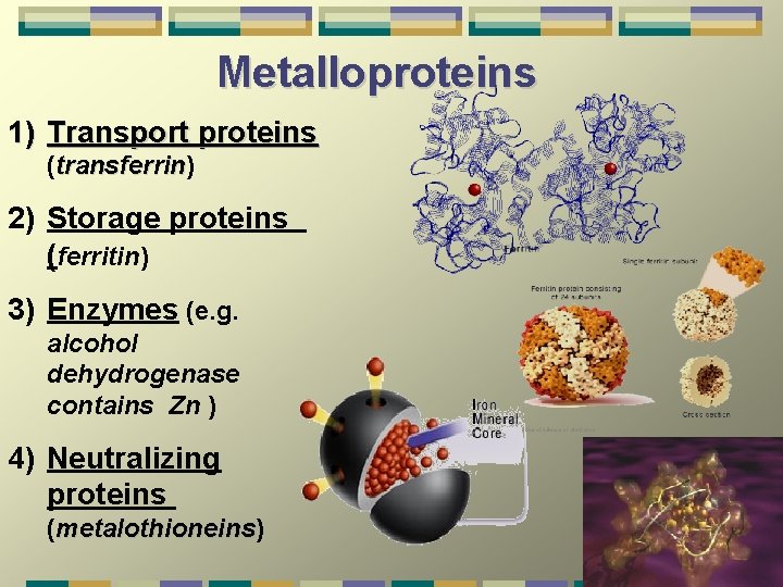 Metalloproteins 1) Transport proteins (transferrin) transferrin 2) Storage proteins (ferritin) 3) Enzymes (e. g.