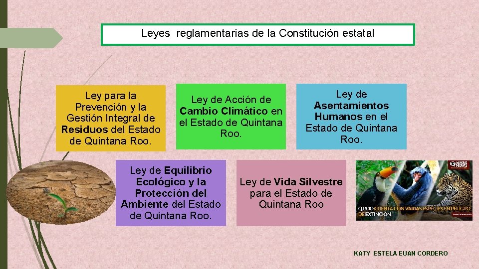 Leyes reglamentarias de la Constitución estatal Ley para la Prevención y la Gestión Integral