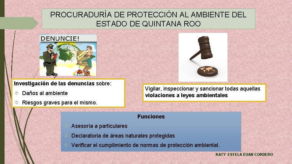PROCURADURÍA DE PROTECCIÓN AL AMBIENTE DEL ESTADO DE QUINTANA ROO Investigación de las denuncias