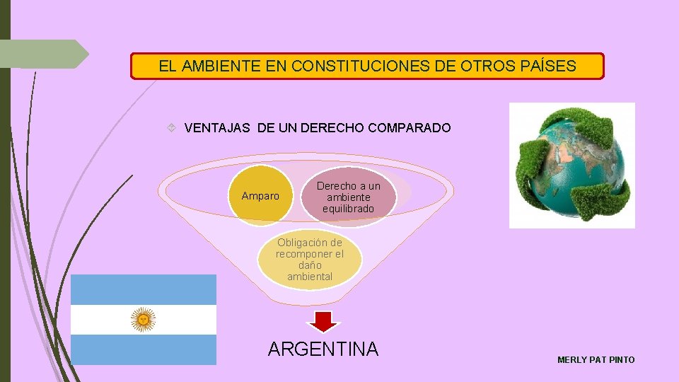EL AMBIENTE EN CONSTITUCIONES DE OTROS PAÍSES VENTAJAS DE UN DERECHO COMPARADO Amparo Derecho