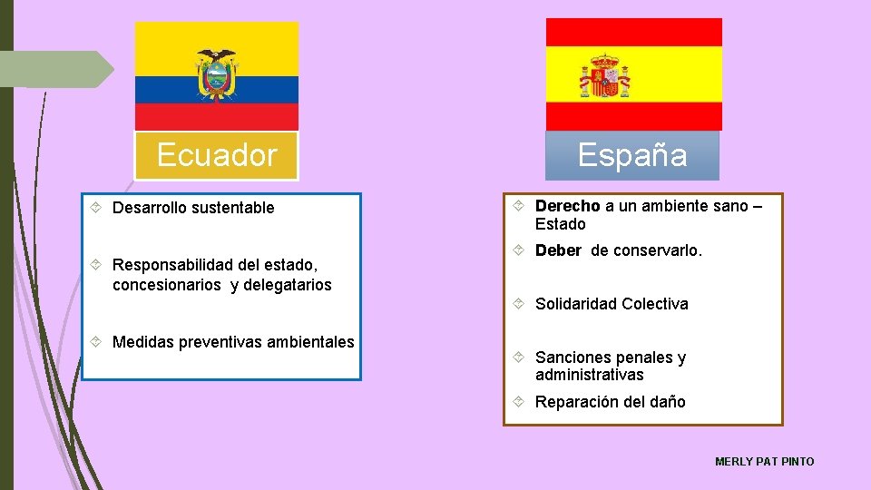 Ecuador Desarrollo sustentable Responsabilidad del estado, concesionarios y delegatarios España Derecho a un ambiente