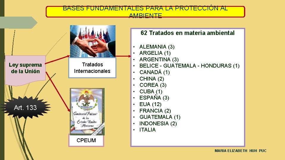 BASES FUNDAMENTALES PARA LA PROTECCIÓN AL AMBIENTE 62 Tratados en materia ambiental Ley suprema