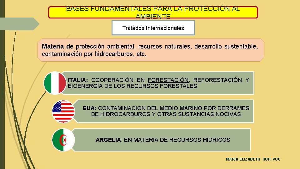 BASES FUNDAMENTALES PARA LA PROTECCIÓN AL AMBIENTE Tratados Internacionales Materia de protección ambiental, recursos