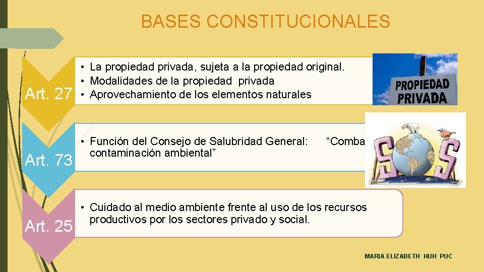 BASES CONSTITUCIONALES Art. 27 Art. 73 Art. 25 • La propiedad privada, sujeta a