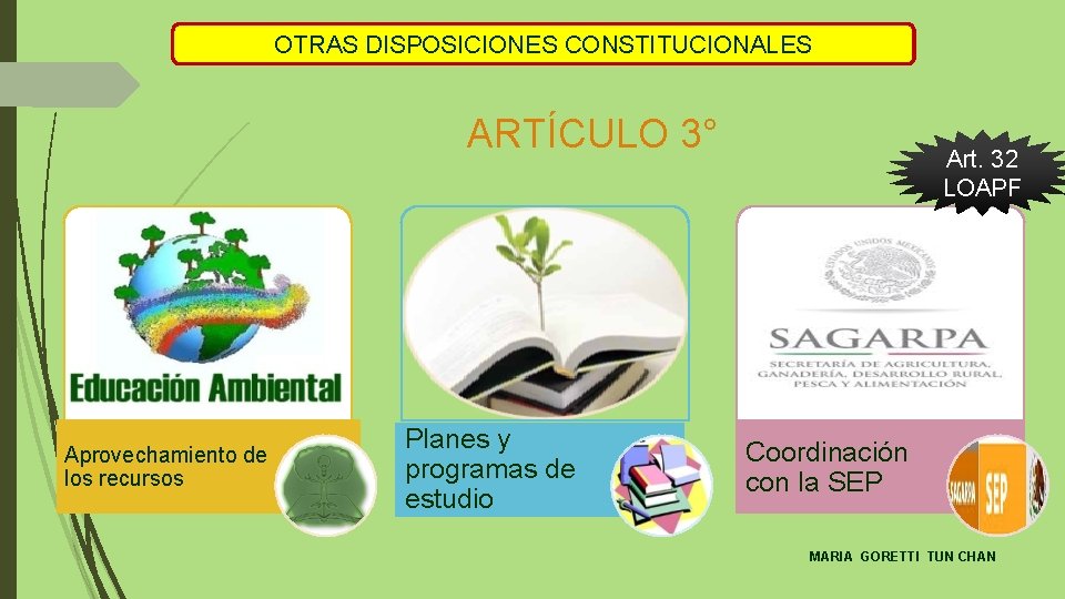 OTRAS DISPOSICIONES CONSTITUCIONALES ARTÍCULO 3° Aprovechamiento de los recursos Planes y programas de estudio