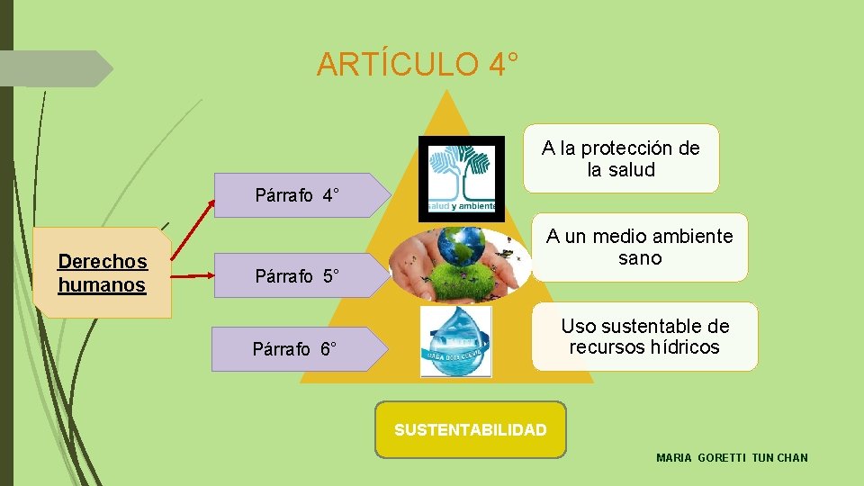 ARTÍCULO 4° A la protección de la salud Párrafo 4° Derechos humanos Párrafo 5°
