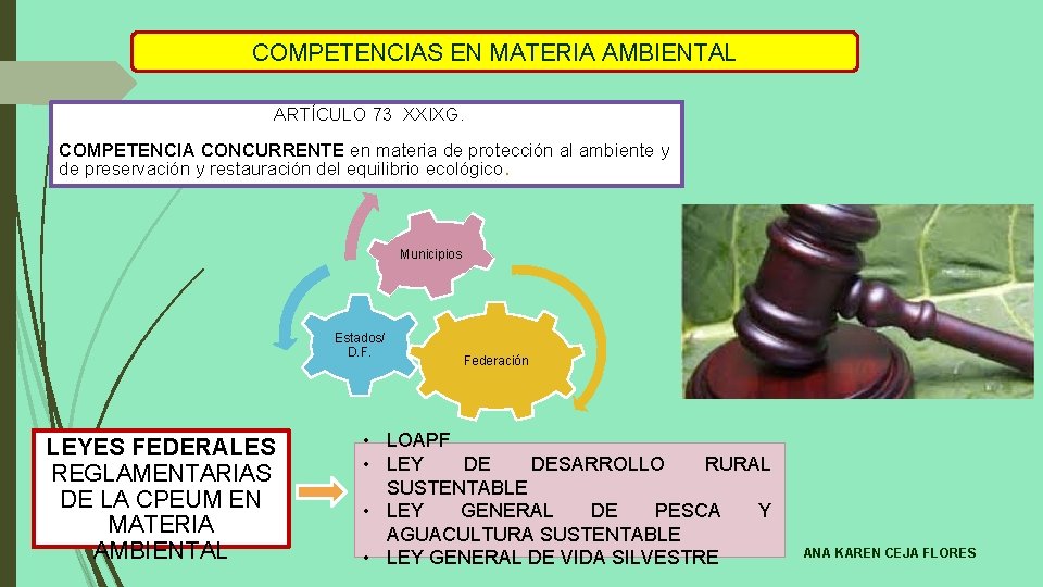COMPETENCIAS EN MATERIA AMBIENTAL ARTÍCULO 73 XXIXG. COMPETENCIA CONCURRENTE en materia de protección al