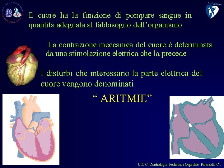 Il cuore ha la funzione di pompare sangue in quantità adeguata al fabbisogno dell’organismo