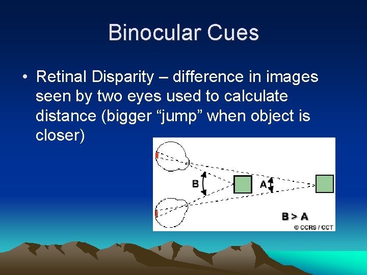Binocular Cues • Retinal Disparity – difference in images seen by two eyes used Binocular Cues • Retinal Disparity – difference in images seen by two eyes used
