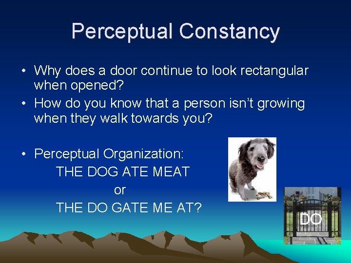 Perceptual Constancy • Why does a door continue to look rectangular when opened? •