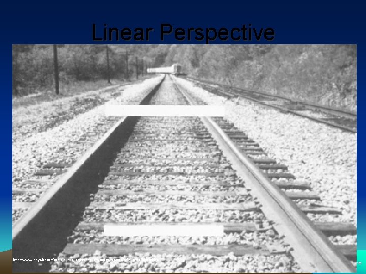 Linear Perspective http: //www-psych. stanford. edu/~lera/psych 115 s/notes/lecture 8/figures 1. html#size http: //ahsmail. uwaterloo.