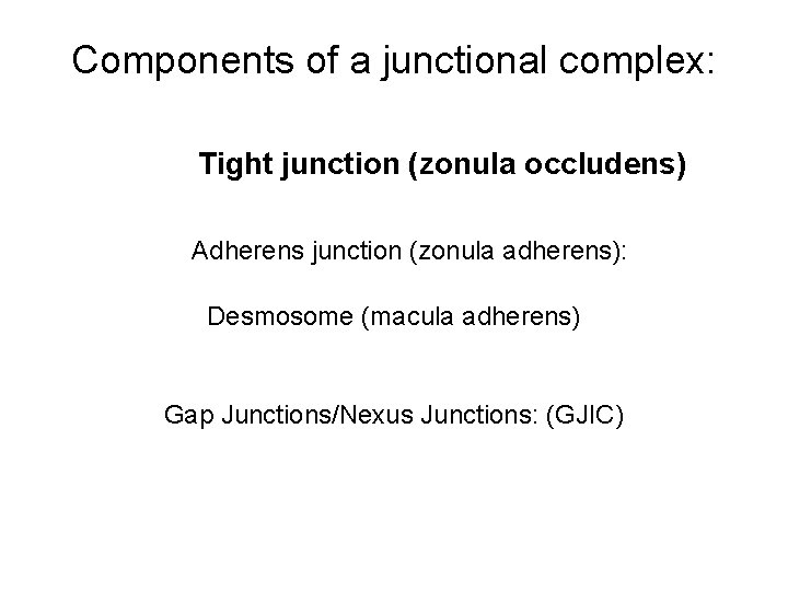 Components of a junctional complex: Tight junction (zonula occludens) Adherens junction (zonula adherens): Desmosome
