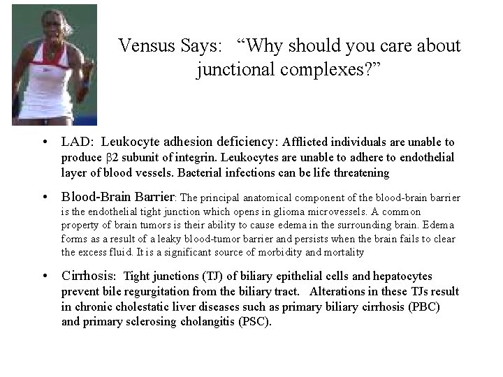 Vensus Says: “Why should you care about junctional complexes? ” • LAD: Leukocyte adhesion