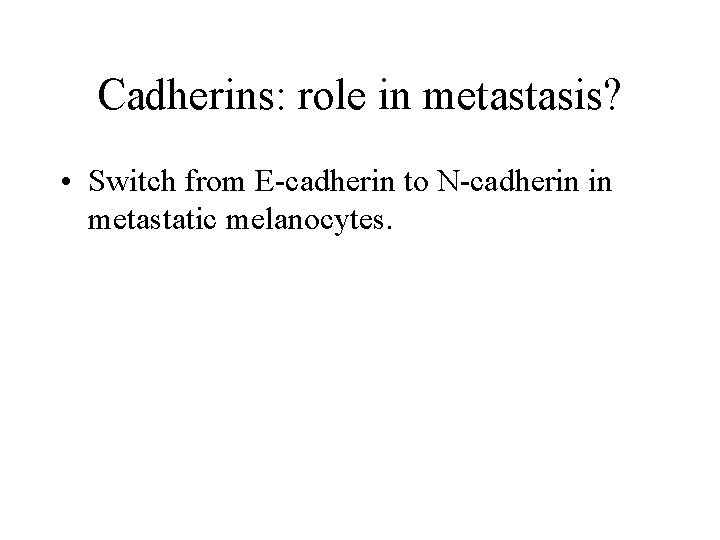 Cadherins: role in metastasis? • Switch from E-cadherin to N-cadherin in metastatic melanocytes. 