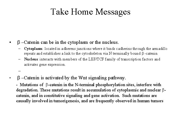 Take Home Messages • b –Catenin can be in the cytoplasm or the nucleus.