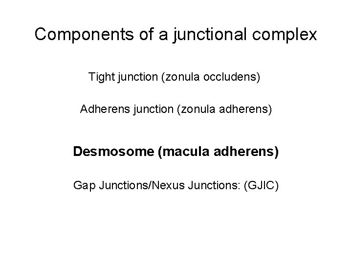 Components of a junctional : complex Tight junction (zonula occludens) Adherens junction (zonula adherens)