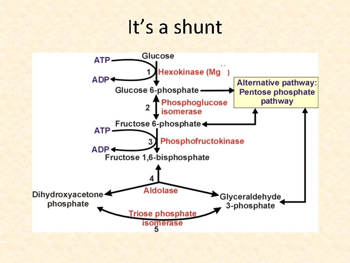 It’s a shunt 