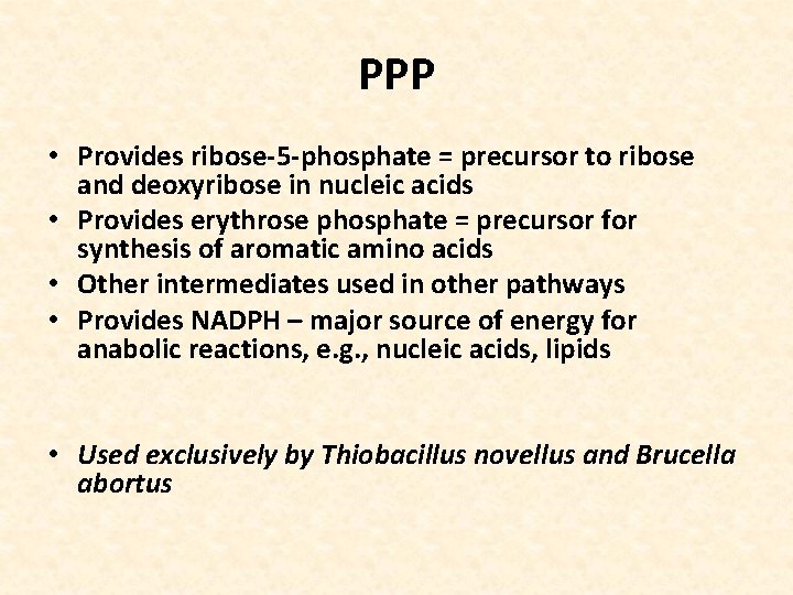 PPP • Provides ribose-5 -phosphate = precursor to ribose and deoxyribose in nucleic acids