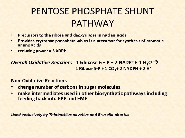 PENTOSE PHOSPHATE SHUNT PATHWAY • • • Precursors to the ribose and deoxyribose in