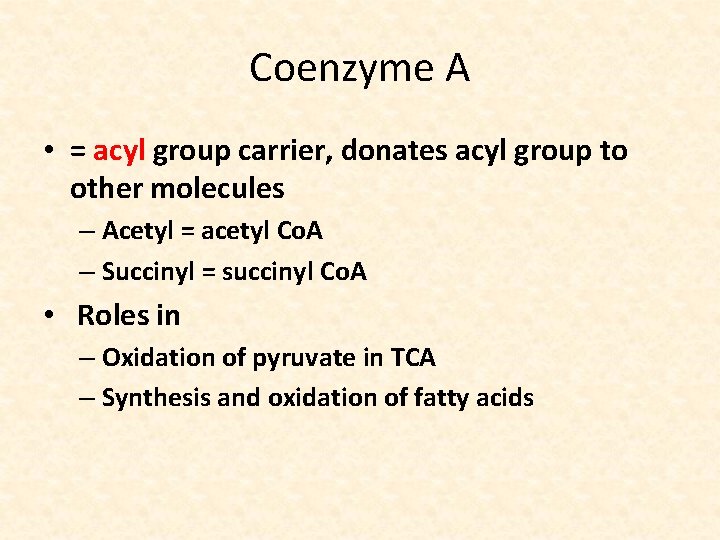 Coenzyme A • = acyl group carrier, donates acyl group to other molecules –