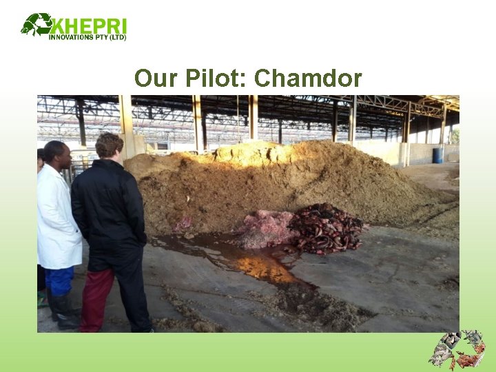 Our Pilot: Chamdor 