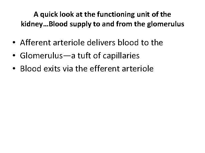 A quick look at the functioning unit of the kidney…Blood supply to and from