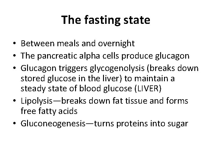 The fasting state • Between meals and overnight • The pancreatic alpha cells produce