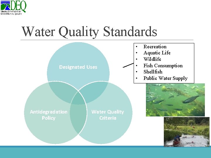 Water Quality Standards Designated Uses Antidegradation Policy Water Quality Criteria • • • Recreation
