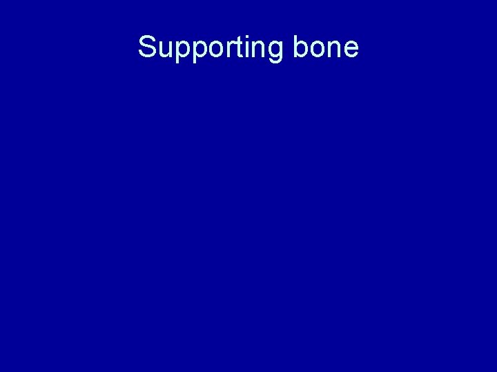 Supporting bone 