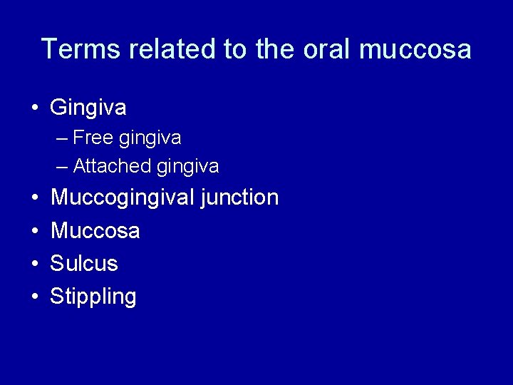 Terms related to the oral muccosa • Gingiva – Free gingiva – Attached gingiva