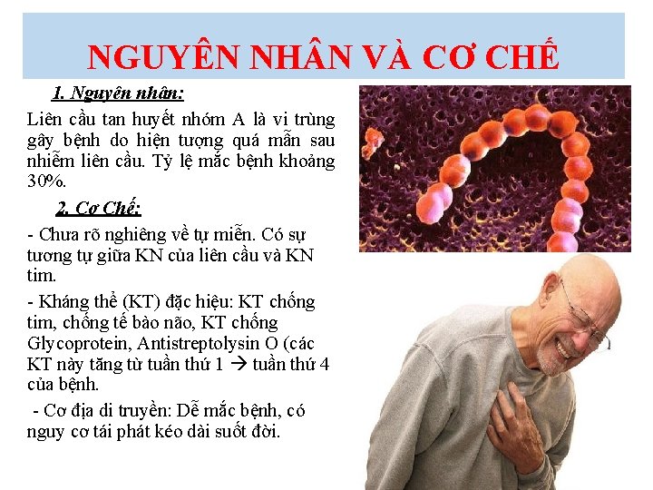 NGUYÊN NH N VÀ CƠ CHẾ 1. Nguyên nhân: Liên cầu tan huyết nhóm