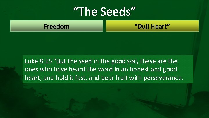 “The Seeds” Freedom “Dull Heart” Luke 8: 15 "But the seed in the good