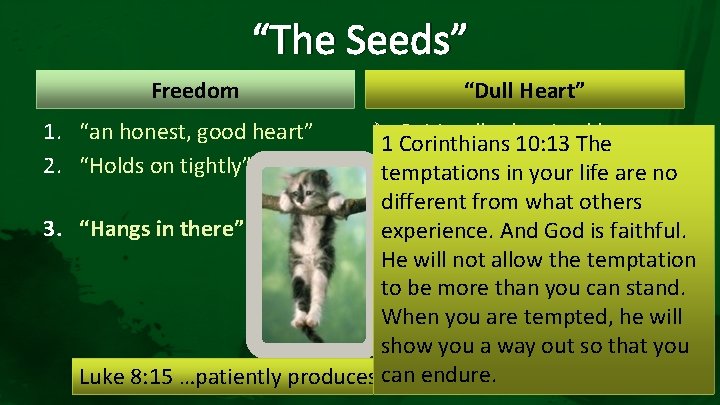 “The Seeds” Freedom 1. “an honest, good heart” 2. “Holds on tightly” “Dull Heart”