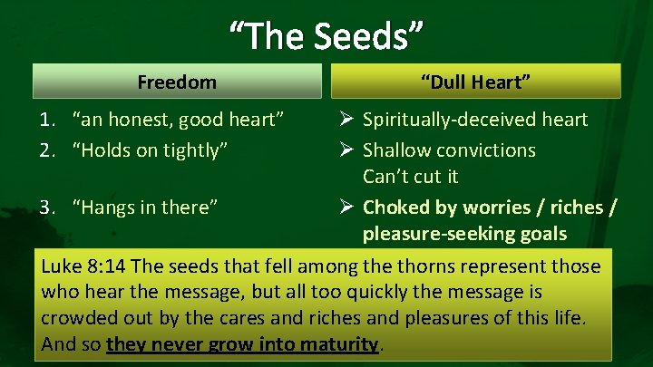 “The Seeds” Freedom 1. “an honest, good heart” 2. “Holds on tightly” “Dull Heart”