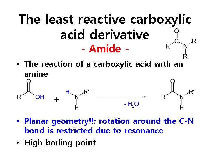 The least reactive carboxylic acid derivative - Amide - • The reaction of a