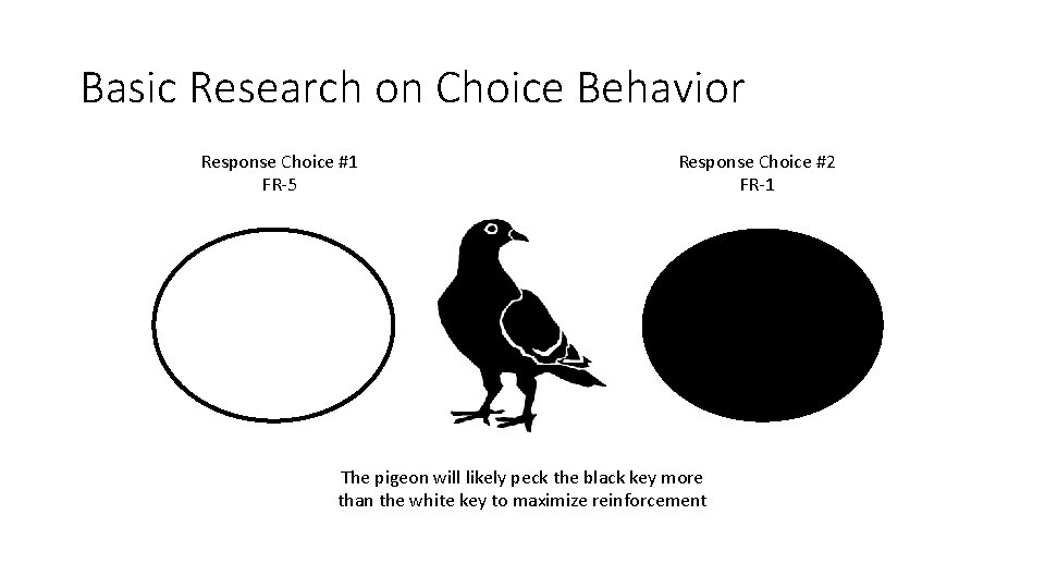 Basic Research on Choice Behavior Response Choice #1 FR-5 Response Choice #2 FR-1 The