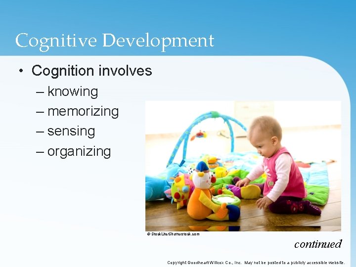 Cognitive Development • Cognition involves – knowing – memorizing – sensing – organizing ©