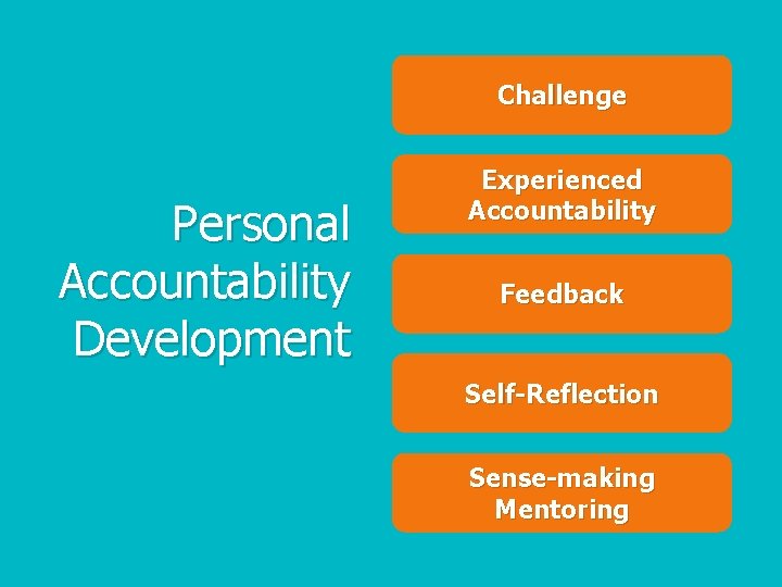 Challenge Personal Accountability Development Experienced Accountability Feedback Self-Reflection Sense-making Mentoring 