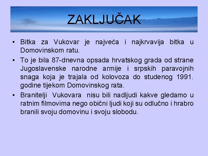 ZAKLJUČAK • Bitka za Vukovar je najveća i najkrvavija bitka u Domovinskom ratu. •