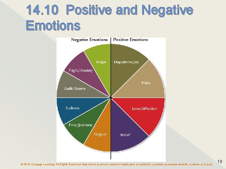 14. 10 Positive and Negative Emotions © 2016 Cengage Learning. All Rights Reserved. May
