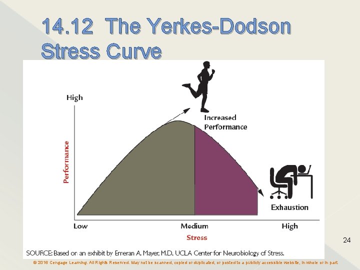 14. 12 The Yerkes-Dodson Stress Curve 24 © 2016 Cengage Learning. All Rights Reserved.