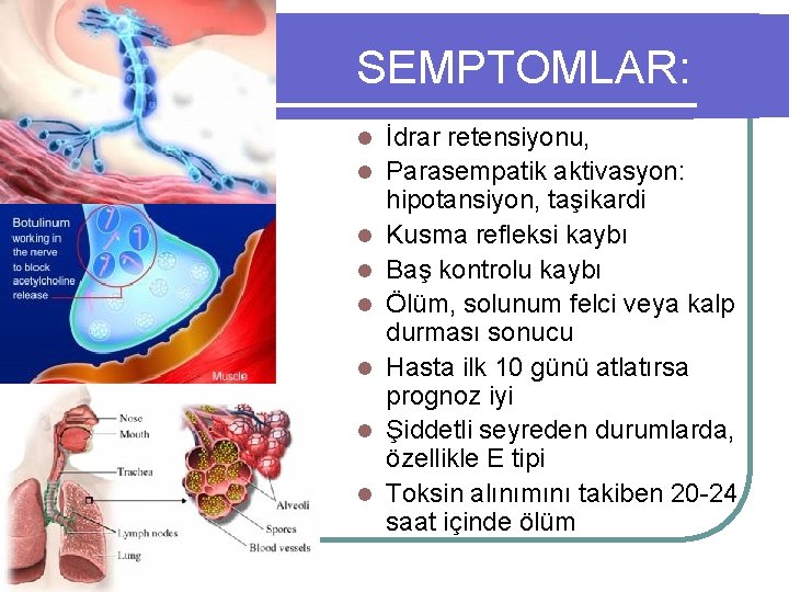 SEMPTOMLAR: l l l l İdrar retensiyonu, Parasempatik aktivasyon: hipotansiyon, taşikardi Kusma refleksi kaybı