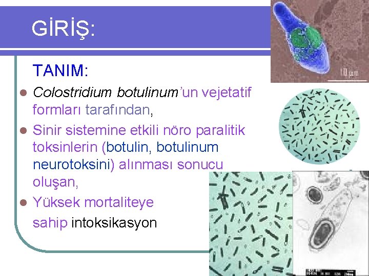 GİRİŞ: TANIM: Colostridium botulinum’un vejetatif formları tarafından, l Sinir sistemine etkili nöro paralitik toksinlerin