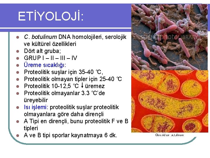 ETİYOLOJİ: l l l C. botulinum DNA homolojileri, serolojik ve kültürel özellikleri Dört alt